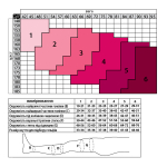 Панчохи антиварикозні лікувальні з компресією 22-27 мм рт. ст. з відкритим носком Tiana, 280 DEN, Тип 906 (бежевий) 4