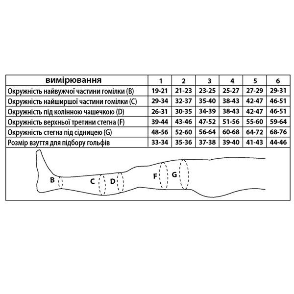 Гольфы антиварикозные лечебные с открытым носком с компрессией 22-27 мм рт. ст. Tiana, 280 DEN, Тип 926 (бежевый) 3