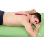 ПАЛП Супутник плюс 5,8 9