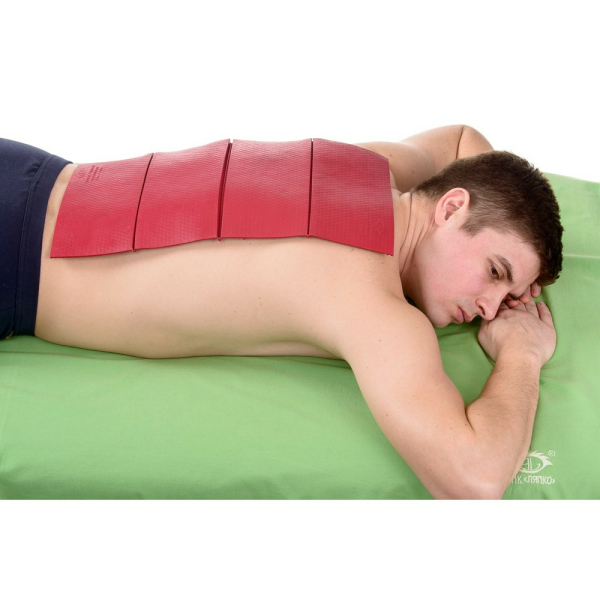 ПАЛП Шанс 6,2 Ag * 4 2