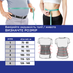 Бандаж підтримуючий жорсткий Toros-Group, Тип 214 (6 ребер жорсткості) Сірий 5