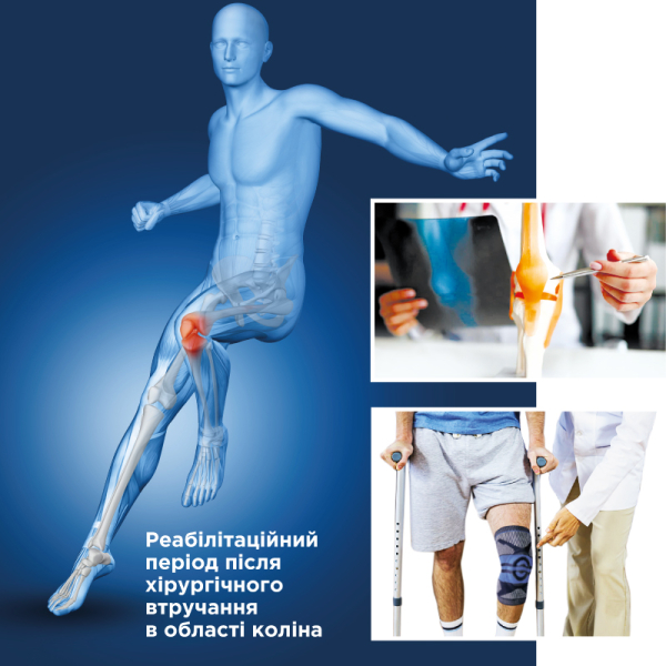 Бандаж для коленного сустава компрессионный с силиконовым кольцом Toros-Group, Тип 507 (синий) 4